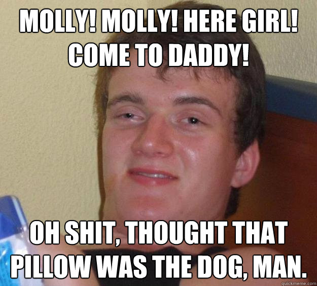 molly! molly! here girl! come to daddy! oh shit, thought that pillow was the dog, man.  10 Guy