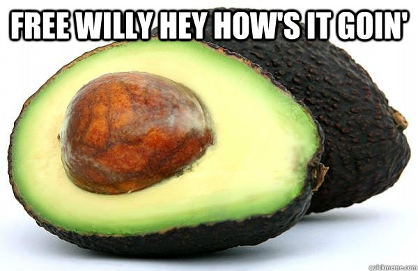 Free willy hey how's it goin'  - Free willy hey how's it goin'   asshole avocado