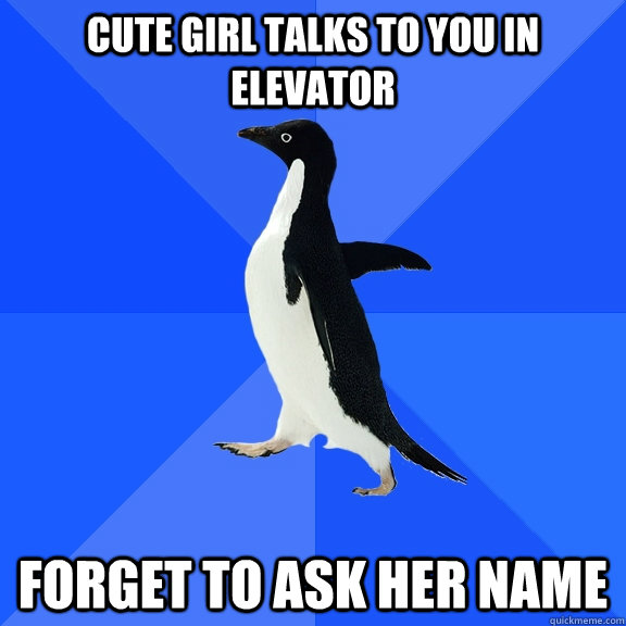 Cute girl talks to you in elevator forget to ask her name  Socially Awkward Penguin