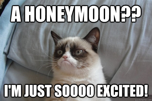 A Honeymoon?? I'm just soooo excited! - A Honeymoon?? I'm just soooo excited!  Misc