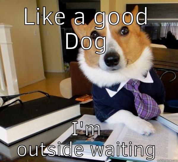 LIKE A GOOD DOG I'M OUTSIDE WAITING Lawyer Dog