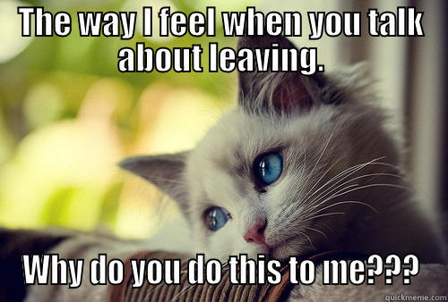 Sad Kitty Face - THE WAY I FEEL WHEN YOU TALK ABOUT LEAVING. WHY DO YOU DO THIS TO ME??? First World Problems Cat