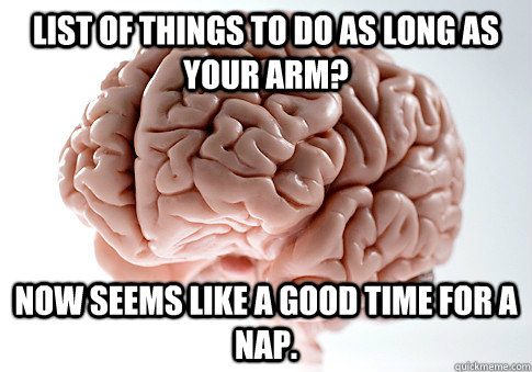 LIST OF THINGS TO DO AS LONG AS YOUR ARM? NOW SEEMS LIKE A GOOD TIME FOR A NAP. - LIST OF THINGS TO DO AS LONG AS YOUR ARM? NOW SEEMS LIKE A GOOD TIME FOR A NAP.  Scumbag Brain