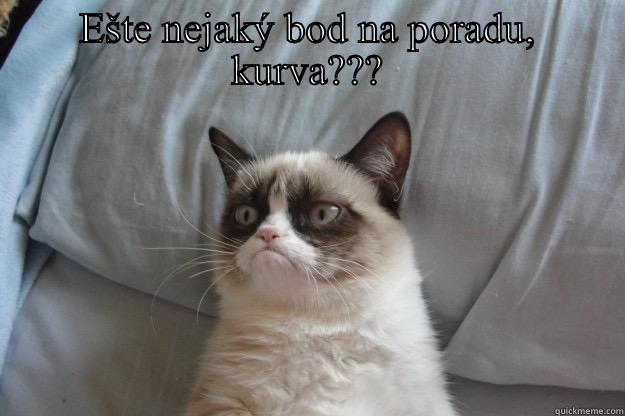 EŠTE NEJAKÝ BOD NA PORADU, KURVA???  Grumpy Cat