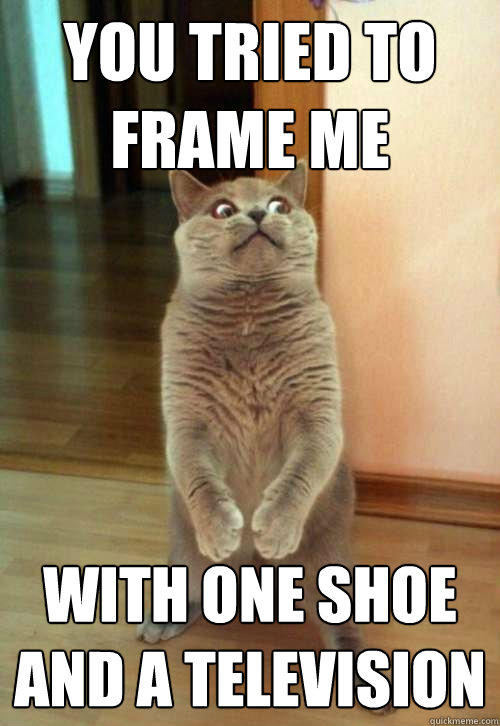 you tried to frame me with one shoe and a television  Horrorcat