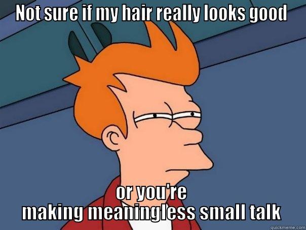 NOT SURE IF MY HAIR REALLY LOOKS GOOD OR YOU'RE MAKING MEANINGLESS SMALL TALK Futurama Fry