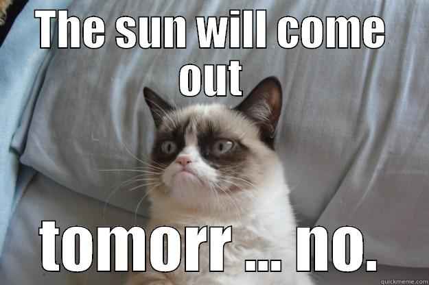 THE SUN WILL COME OUT TOMORR ... NO. Grumpy Cat