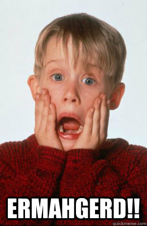  ERMAHGERD!!   Home Alone