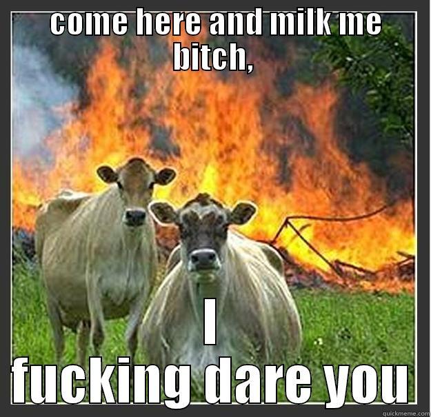 I fucking dare you -  COME HERE AND MILK ME BITCH, I FUCKING DARE YOU Evil cows