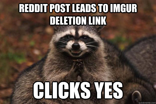 reddit post leads to imgur deletion link Clicks yes  Evil Plotting Raccoon