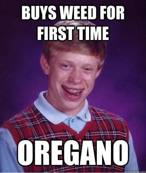 Buys weed for first time oregano - Buys weed for first time oregano  Bad Luck Brian