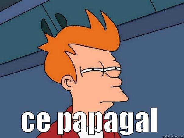 clisti  -  CE PAPAGAL Futurama Fry