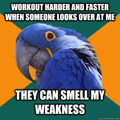 Workout harder and faster when someone looks over at me they can smell my weakness  Paranoid Parrot