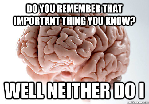 Do you remember that important thing you know? Well neither do I - Do you remember that important thing you know? Well neither do I  Scumbag Brain