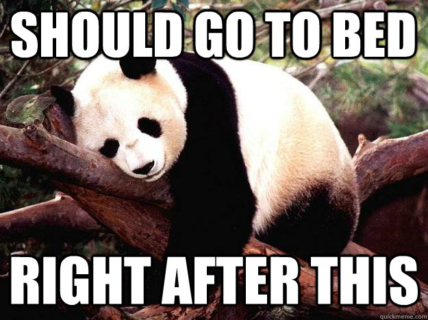 should go to bed right after this   Procrastination Panda