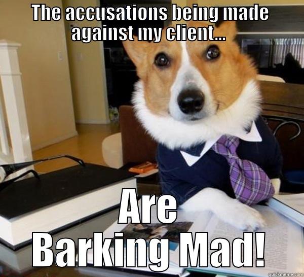 THE ACCUSATIONS BEING MADE AGAINST MY CLIENT...  ARE BARKING MAD! Lawyer Dog