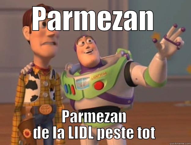 PARMEZAN PARMEZAN DE LA LIDL PESTE TOT Toy Story