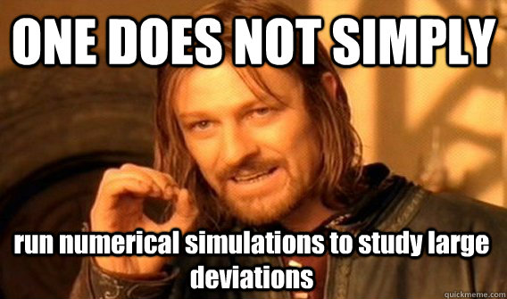 ONE DOES NOT SIMPLY run numerical simulations to study large deviations  One Does Not Simply