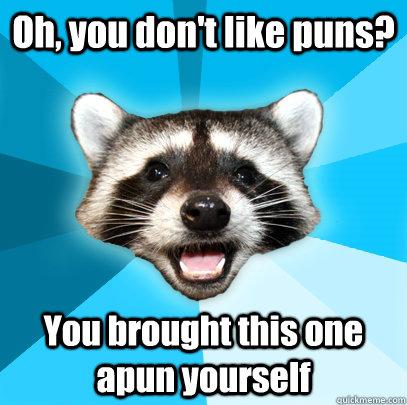 Oh, you don't like puns? You brought this one apun yourself - Oh, you don't like puns? You brought this one apun yourself  Lame Pun Coon