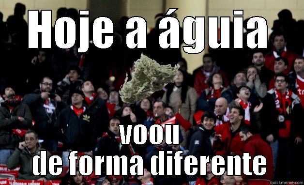 HOJE A ÁGUIA VOOU DE FORMA DIFERENTE Misc