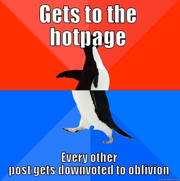 Aww again! - GETS TO THE HOTPAGE EVERY OTHER POST GETS DOWNVOTED TO OBLIVION Socially Awesome Awkward Penguin