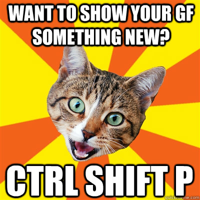 Want to show your GF something new? CTRL SHIFT P  Bad Advice Cat