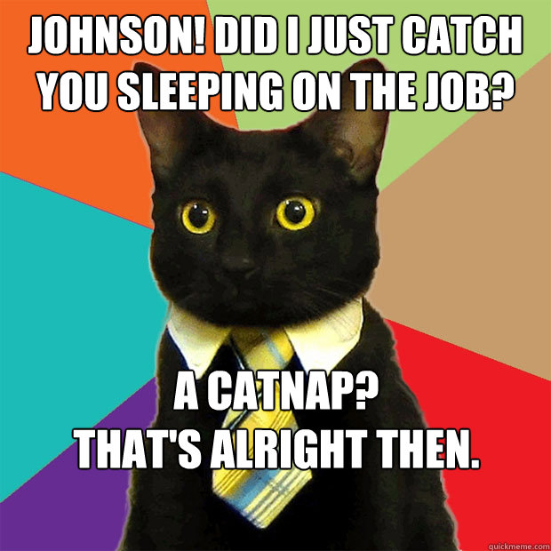 johnson! did i just catch you sleeping on the job? a catnap? 
that's alright then.  Business Cat