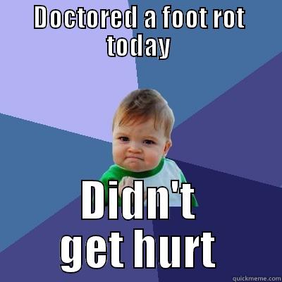 DOCTORED A FOOT ROT TODAY DIDN'T GET HURT Success Kid