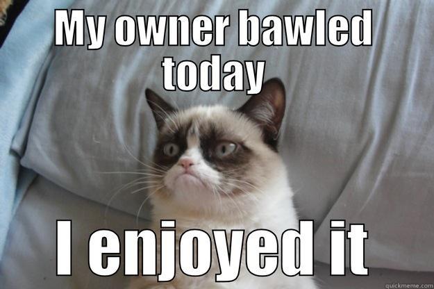 Grumpy cats version of fun - MY OWNER BAWLED TODAY I ENJOYED IT Grumpy Cat