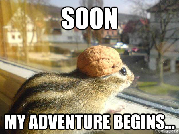 soon my adventure begins... - soon my adventure begins...  Adventure Chipmunk