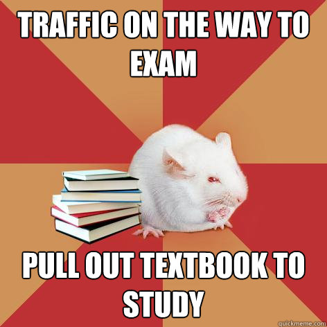 Traffic on the way to exam pull out textbook to study - Traffic on the way to exam pull out textbook to study  Science Major Mouse