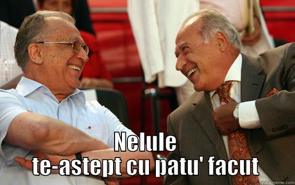  NELULE TE-ASTEPT CU PATU' FACUT Condescending Wonka
