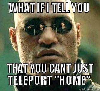   WHAT IF I TELL YOU    THAT YOU CANT JUST TELEPORT 