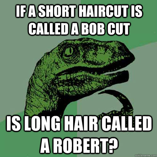 If a short haircut is called a bob cut Is long hair called a Robert?  Philosoraptor