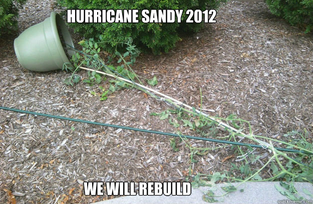 Hurricane sandy 2012 We will rebuild  