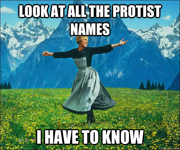 look at all the protist names i have to know - look at all the protist names i have to know  Sound of Music