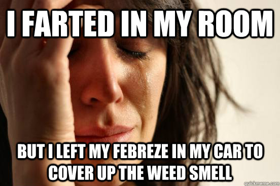 i farted in my room but i left my febreze in my car to cover up the weed smell  First World Problems