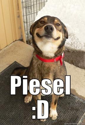  PIESEL :D Good Dog Greg