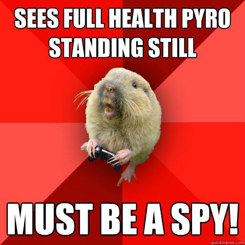 Sees full health Pyro standing still Must be a spy! - Sees full health Pyro standing still Must be a spy!  Gaming Gopher