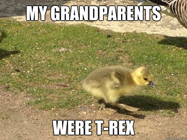 my grandparents  were t-rex  evolved duckling