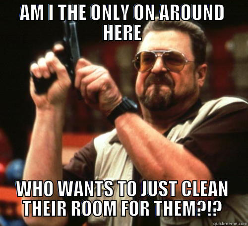 AM I THE ONLY ON AROUND HERE WHO WANTS TO JUST CLEAN THEIR ROOM FOR THEM?!? Am I The Only One Around Here