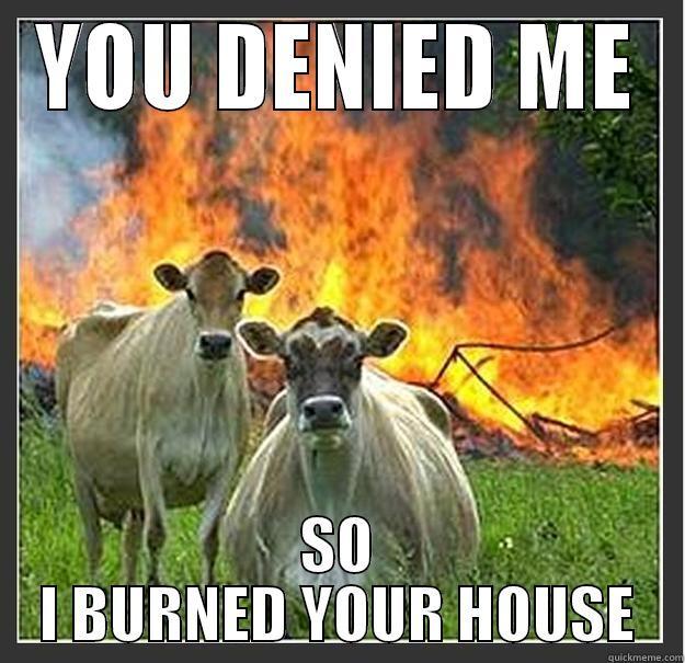 I ASKED YOU ONCE - YOU DENIED ME SO I BURNED YOUR HOUSE Evil cows