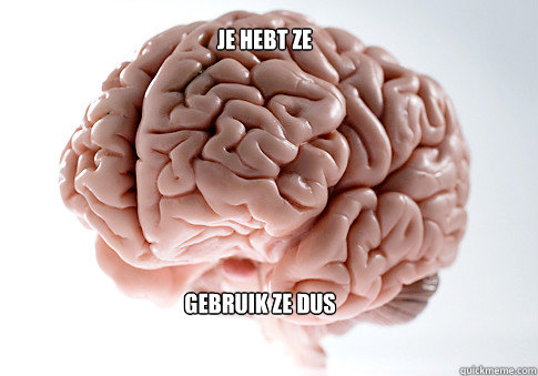   JE HEBT ZE GEBRUIK ZE DUS  Scumbag Brain