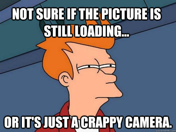 Not sure if the picture is still loading... Or it's just a crappy camera. - Not sure if the picture is still loading... Or it's just a crappy camera.  Futurama Fry