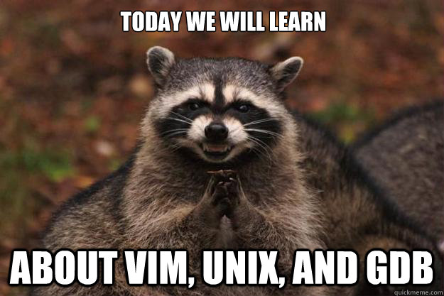 TODAY WE WILL LEARN ABOUT VIM, UNIX, AND GDB  Evil Plotting Raccoon