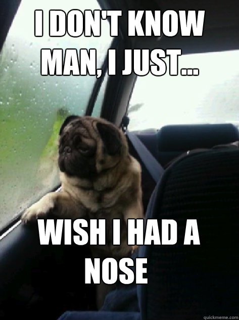 I don't know man, I just...  wish I had a nose  Introspective Pug