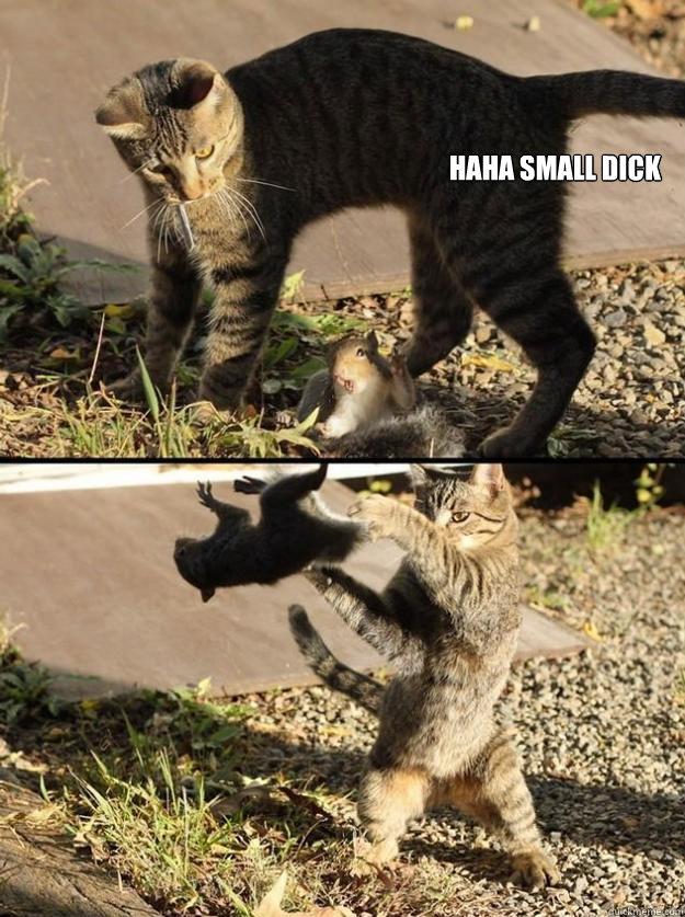 HAHA small dick   Annoying Squirrel