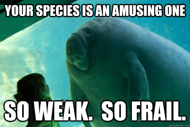 your species is an amusing one so weak.  so frail. - your species is an amusing one so weak.  so frail.  Overlord Manatee