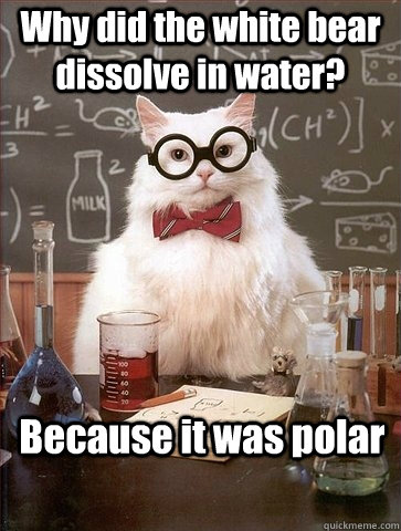 Why did the white bear dissolve in water? Because it was polar  Chemistry Cat