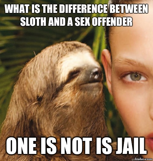 What is the difference between sloth and a sex offender One is not is jail   rape sloth